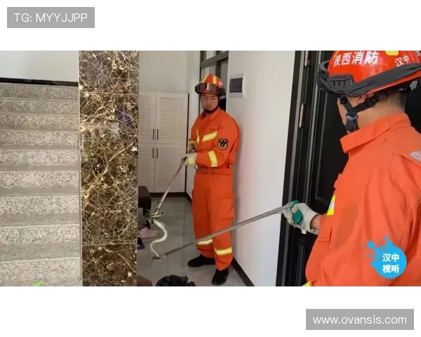 凯发真人国际：严格的隐私保护措施保障玩家个人信息安全