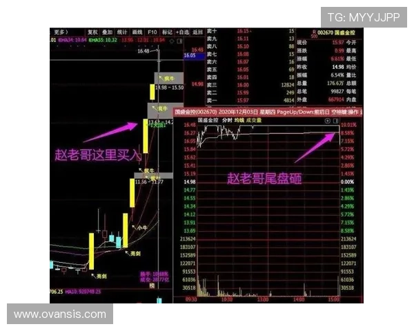 体育真人盘口全面解析助你掌握最新投注技巧提升盈利水平 体育真人盘口全面解析助你掌握最新投注技巧提升盈利水平