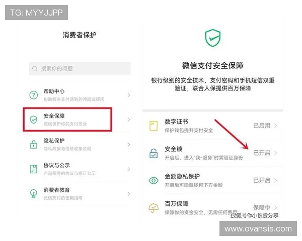 详细解析ag永乐国际f66的支付方式与安全保障措施，保障您的资金安全